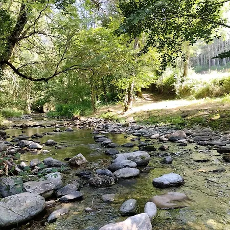 Domaine Du Vieux Tilleul- - Gorges Tarn Et Jonte Daire *