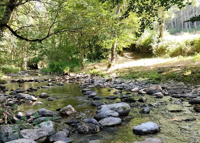Domaine Du Vieux Tilleul- - Gorges Tarn Et Jonte 公寓 *